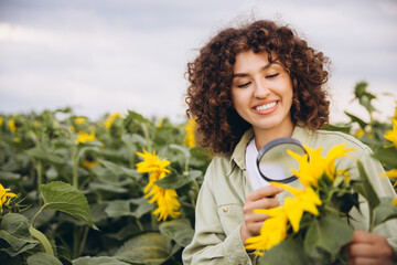 Agronomist inspecting sunflowers with magnifying glass in a field