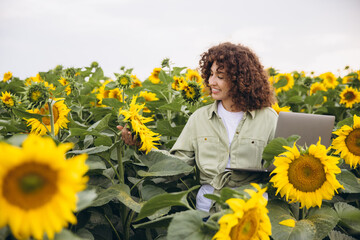 Female agronomist inspecting sunflowers holding laptop in agricultural field