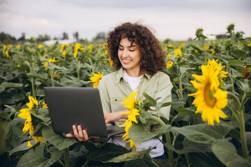 Agronomist using laptop in sunflower field