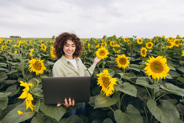 Agronomist using laptop and inspecting sunflowers in a field