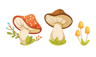 A vibrant and colorful depiction of cartoon mushrooms set in a whimsical forest environment