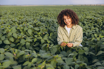 Agronomist examining soybean plants in cultivated field
