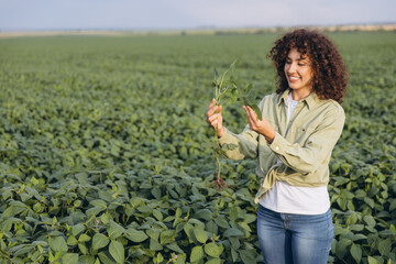 Agronomist woman examining soybean plant in cultivated field