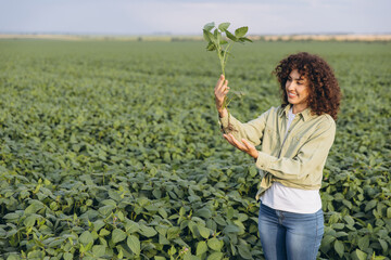 Agronomist holding soybean plant in cultivated field