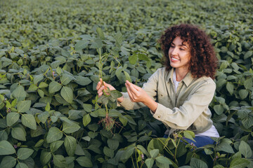 Agronomist woman examining soybean plant in cultivated field