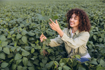 Agronomist woman examining soybean plant in cultivated field
