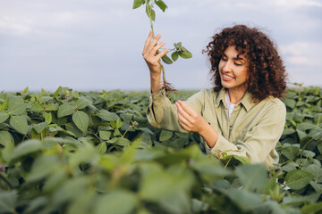 Agronomist holding soybean plant in field analyzing roots