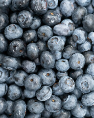 Close-up of fresh ripe blueberries with natural bloom, tightly packed. Ideal for food, health, and organic lifestyle themes.