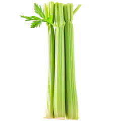 Fototapeta premium Fresh Celery Stalks with Green Leaves Isolated on White Background
