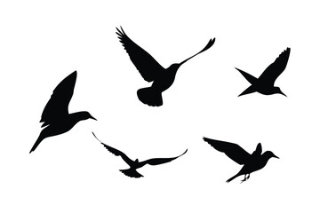 Birds in Flight Vector Silhouette Set - Minimalist Nature & Animal Illustrations