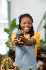 African american cute female flower shop assistant with cactuses