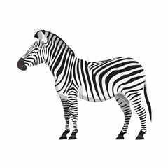 Naklejka premium Striking Zebra Illustration Depicting Wild Animal in Black and White Stripes