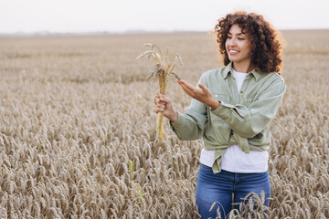 Female agronomist inspecting ripe wheat in cultivated field
