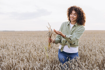 Agronomist woman holding ripe wheat ears in field during harvest
