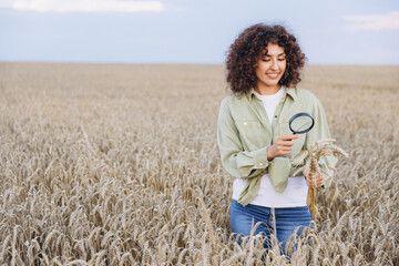 Agronomist woman inspecting wheat with magnifying glass in field