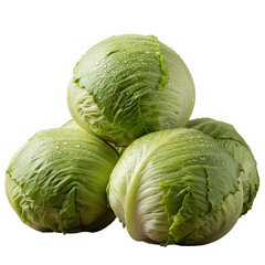 Fototapeta premium Fresh Green Cabbage Recipes and Benefits
