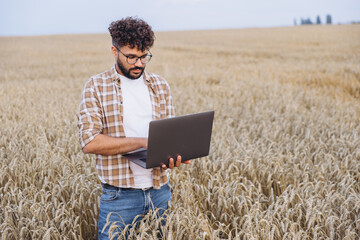 Farmer using laptop in wheat field analyzing harvest