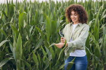 Agronomist woman inspecting corn crops with magnifying glass