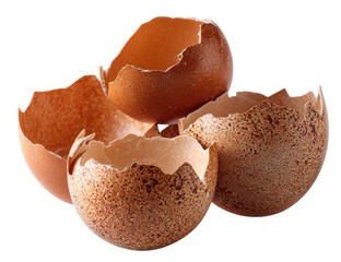 Broken egg shells clustered together