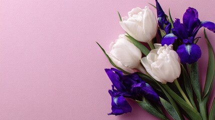 A bouquet of white tulips and purple irises on a pink background.