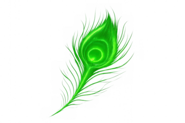 Bright green peacock feather glowing on transparent background, representing beauty, elegance, and vibrant nature