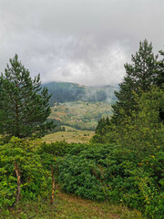 Foggy Mountain Valley with Scattered Village Houses and Lush Trees