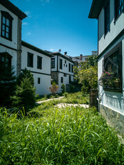 Traditional Ottoman-Style Houses with Garden and Blue Sky