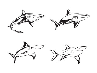 Realistic shark icon in flat vector ocean style