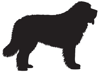 Black silhouette of a large shaggy dog standing profile white animal