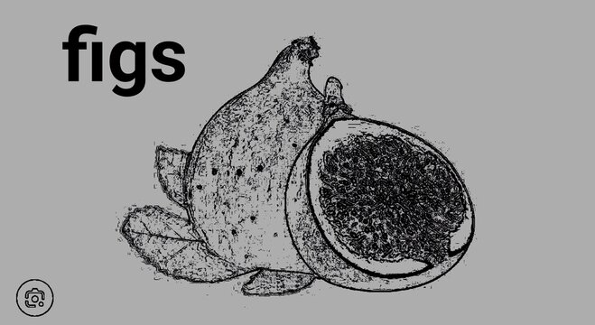 hand drawn vector illustration of an apple