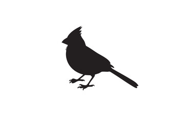 Obraz premium Black silhouette of a northern cardinal bird with crest and claws white background