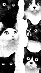 Black and white artistic depiction of various cat portraits displayed in a creative arrangement