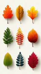 Colorful autumn leaves arranged in a decorative pattern on a light background