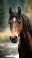 Horse standing near a river in a tranquil forest setting during the early morning hours