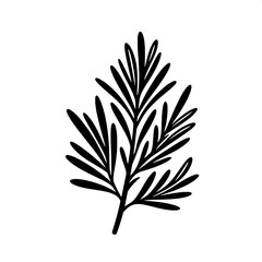 Rosemary Sprig Silhouette SVG | Culinary Herb Vector in Black & White