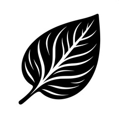 Obraz premium Basil Leaf Silhouette SVG | Minimal Botanical Herb Clipart