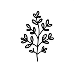 Obraz premium Thyme Twig Line Art SVG | Elegant Herbal Outline in Black & White