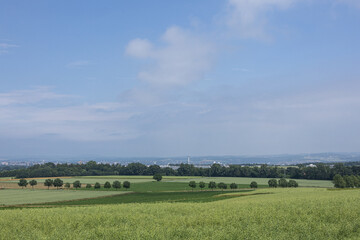 A wide open field with scattered trees and blue sky.
