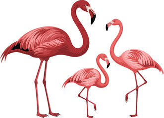 Obraz premium Flamingo Family Standing Around Together Graphic