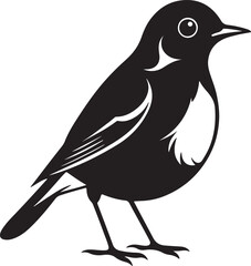bird silhouette, black and white silhouette, vector and illustration
