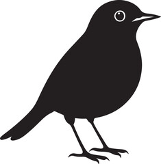 bird silhouette, black and white silhouette, vector and illustration