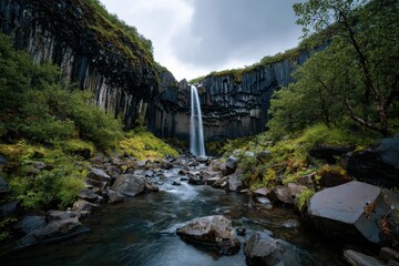 Svartifoss waterfall cascades down black basalt columns surrounded by lush greenery in Iceland during a cloudy day