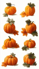 Pumpkins with leaves illustrated in various angles showcasing autumn harvest in a rustic style