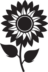 sunflower silhouette, black and white silhouette, vector and illustration