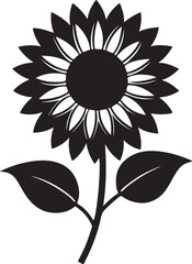 sunflower silhouette, black and white silhouette, vector and illustration