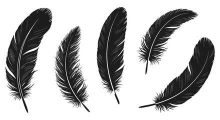 Black and white feather illustration pattern on a white background © nhpvect02
