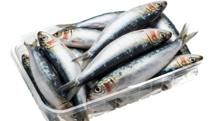 Fresh Sardines in Plastic Packaging Seafood Fish Market Grocery Store