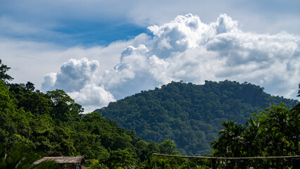 Forest canopy with hills blue sky and beautiful cloudscape of Assam 1