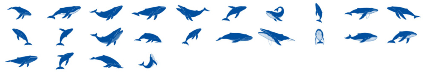 Obraz premium humpback whales isolated, various poses