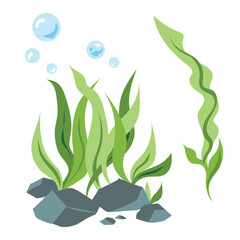Green seaweeds and rocks colorful illustration isolated on square white background.